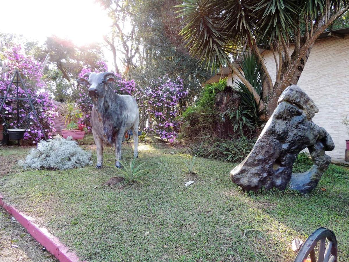Pousada Juriti - Eco Hotel São Roque Extérieur photo